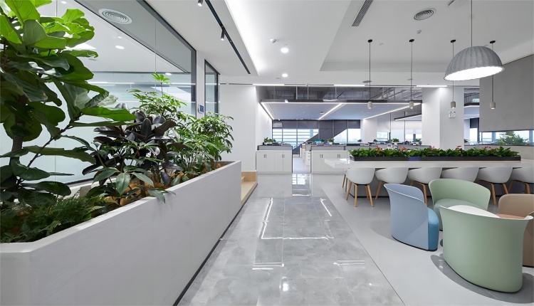 辦公室綠植，打造活力辦公空間